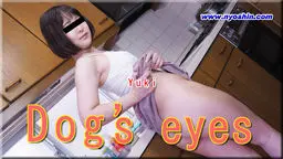 Dog's eyes