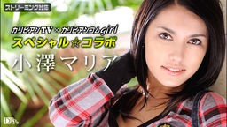 Model Collection  