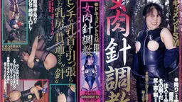 ドキュメントＳＭ　女肉針奴隷