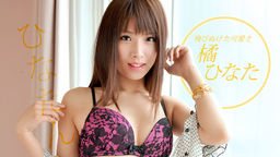 Ҥʤ VIPư  