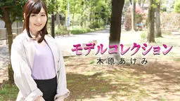 モデルコレクション