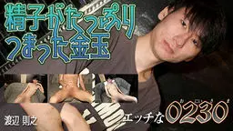 エッチな0230
