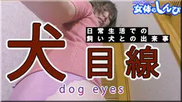 犬目線