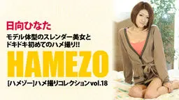 HAMEZO〜ハメ撮りコレクション〜vol.18