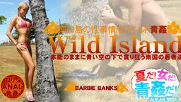 南の島の性事情はワイルド青● Wild Island -夏だ！女だ！青●だ！-